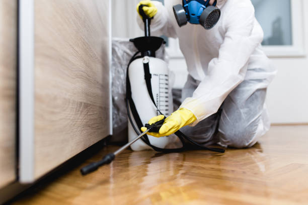 Best Affordable Pest Control Services  in Delta, CO