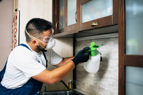 Best Termite Control Services  in Delta, CO