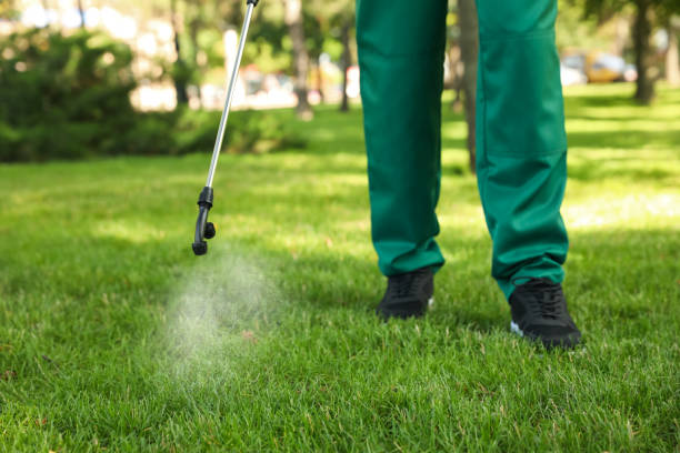 Best Emergency Pest Control  in Delta, CO