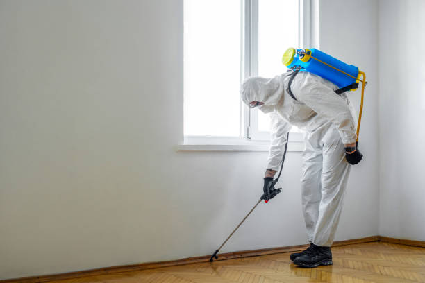 Best Pest Removal Services  in Delta, CO