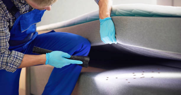 Best Local Pest Control Services  in Delta, CO