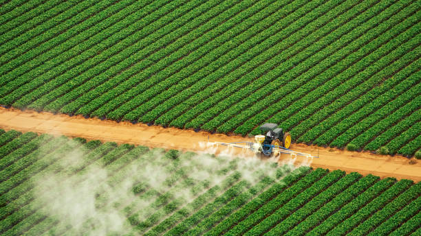 Best Pest Prevention Services  in Delta, CO