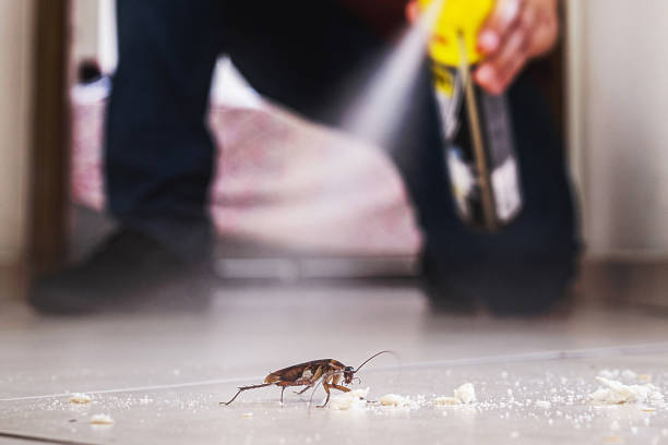 Reliable Delta, CO Pest Control Solutions