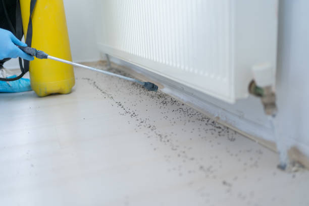 Pest Prevention Services in Delta, CO